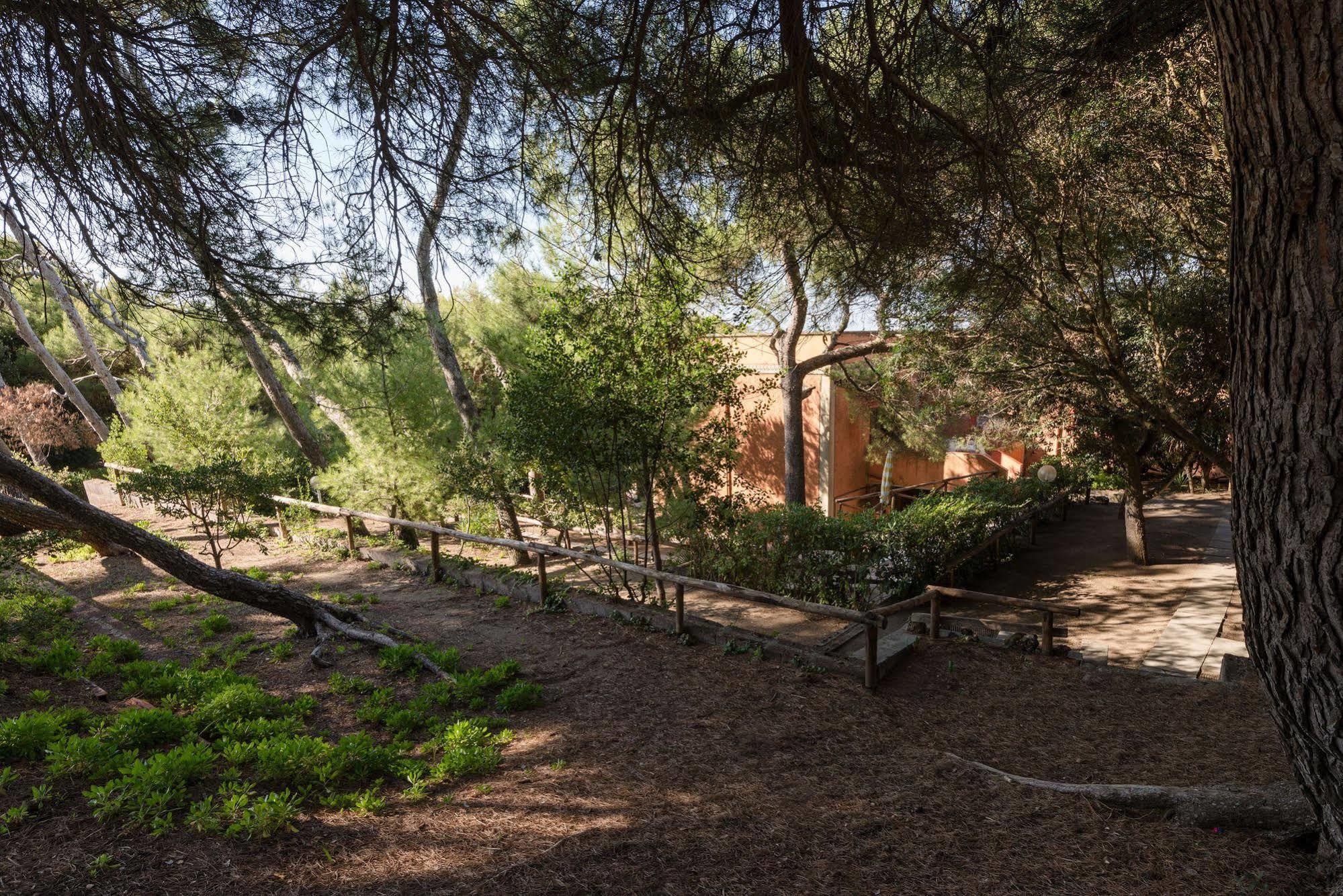 Villa Emilia Marina di Castagneto Carducci Exterior foto